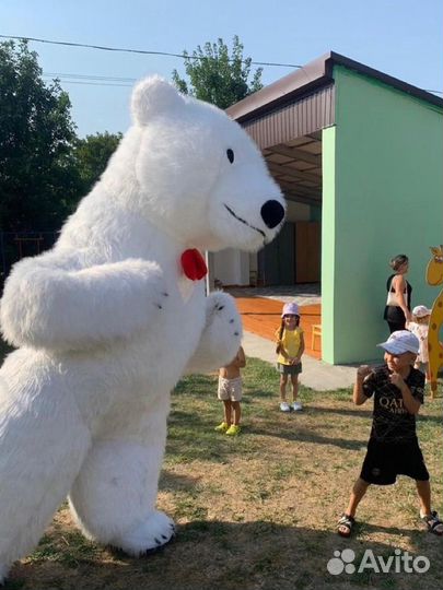 Белый мишка поздравление