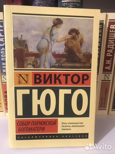 Собор парижской богоматери книга