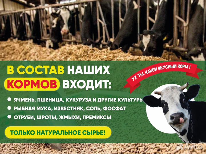 Крупа перловая