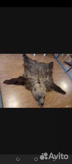 Шкура медведя (имитация)