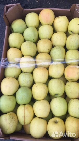 Овощи фрукты