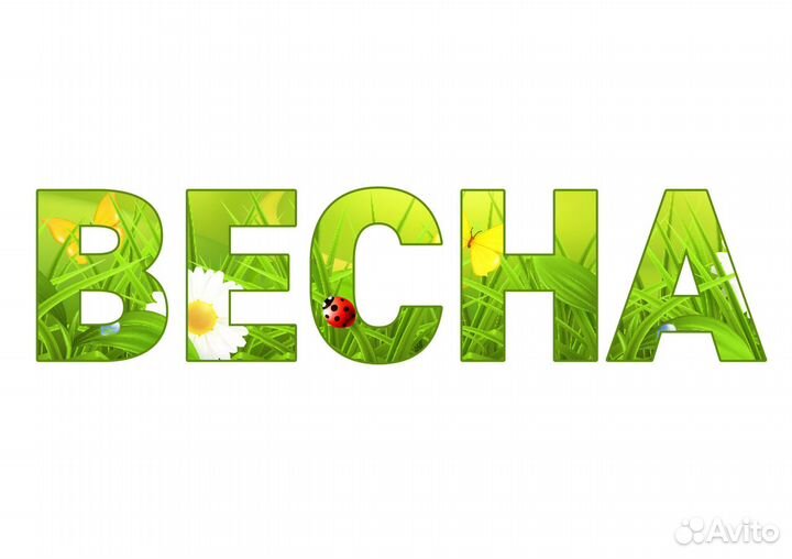 Требуется Грузчик