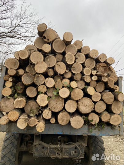 Дрова дуб, граб, ясень