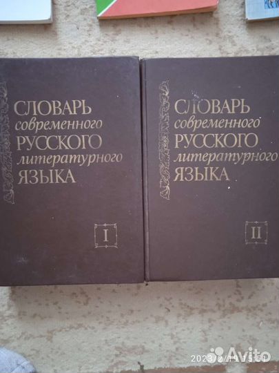 Словарь современного русского языка