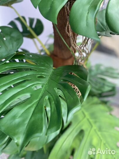 Монстера искусственная