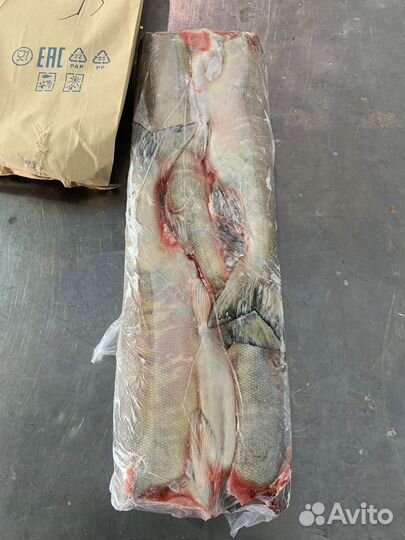 Рыба кета свежемороженая