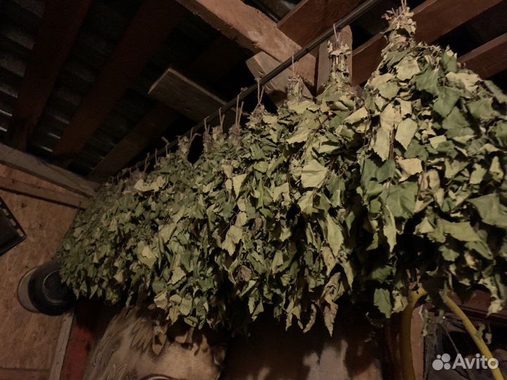 Веники для бани березовые