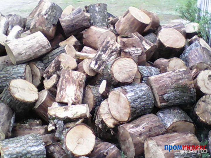 Продам дрова сухие