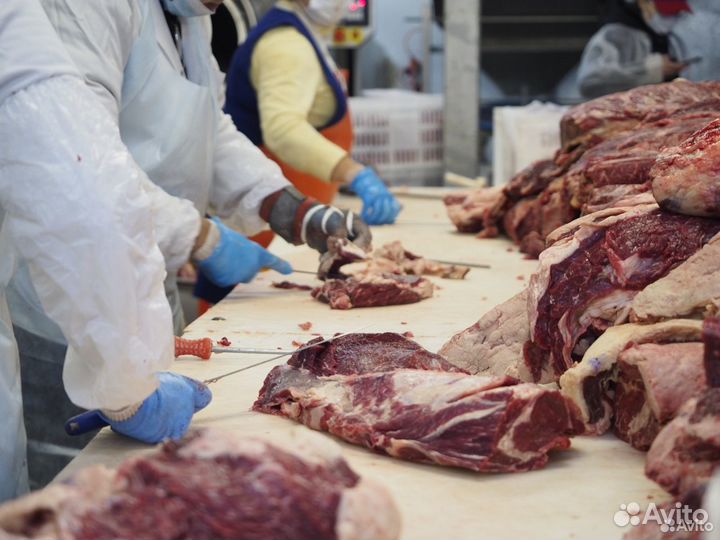 Ищу инвестора/партнера, доход 34434