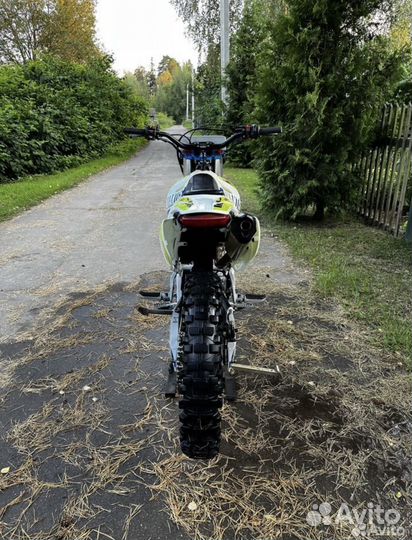 Avantis fx 250 basic