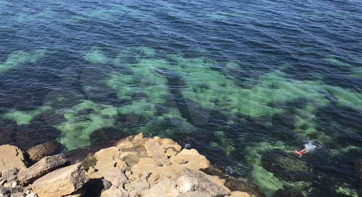 Участок 1,2 га (СНТ, ДНП)