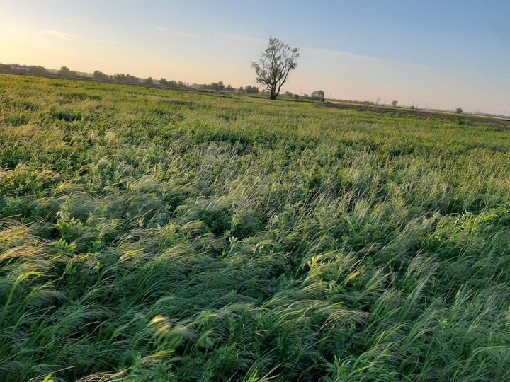 Участок 2,4 га (СНТ, ДНП)