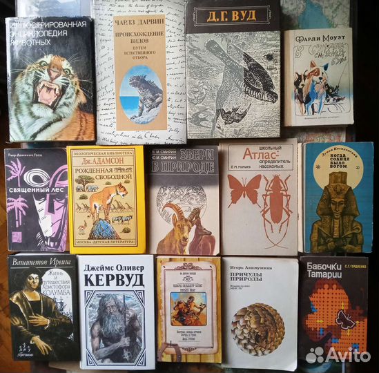 Животные Путешествия Природа Пираты Пчелы