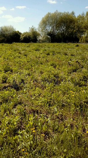 Участок 13 сот. (ИЖС)