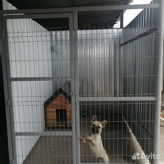 Передержка собак