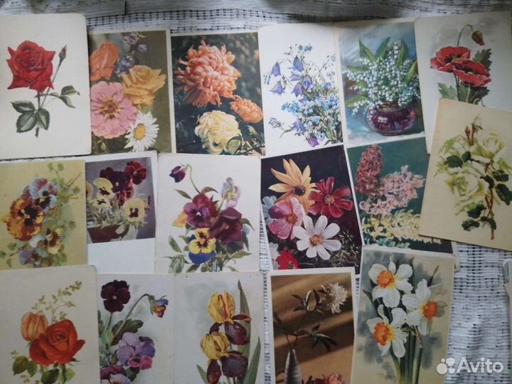 Открытки СССР