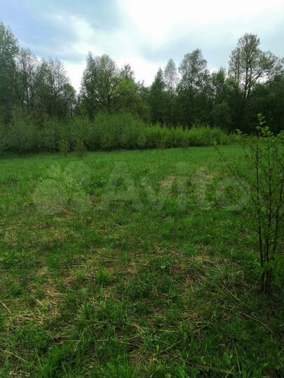 Участок 25 сот. (СНТ, ДНП)