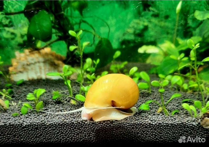 Грунт для аквариума пропант 5 кг