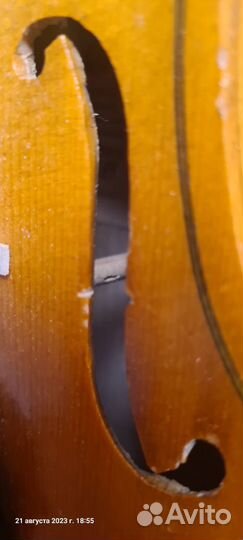 Скрипка 1/2 (2/4)