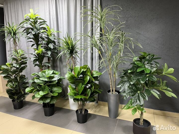 Искусственные деревья декоративные