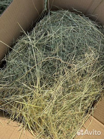 Трава для рукоделия в мешке