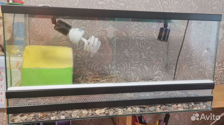 Террариум для сухопутной черепахи 60*30*30