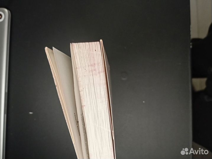 Перельман, Математический беспредел +