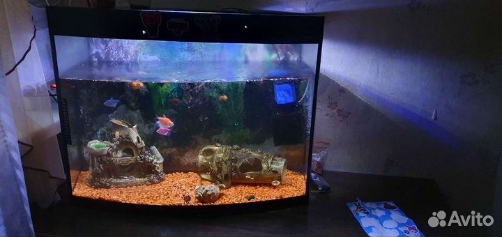 Аквариум с рыбками 150 литров