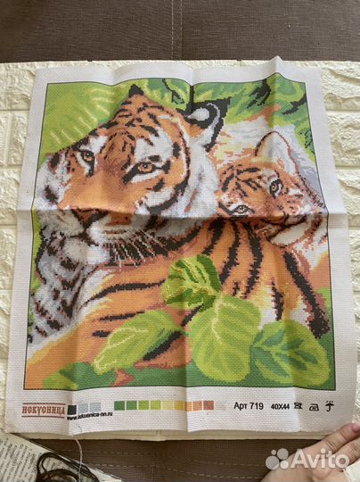 Канва с нанесенным рисунком тигры