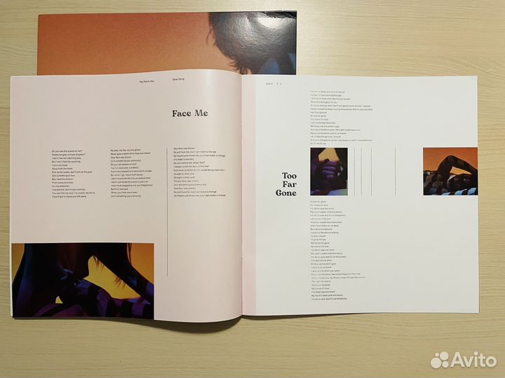The Plot In You-Swan song