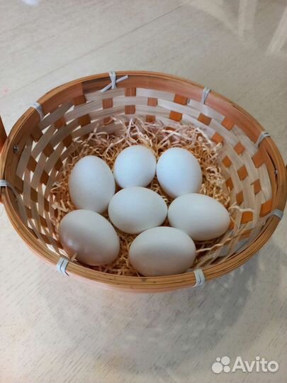 Яйцо куриное домашнее деревенское