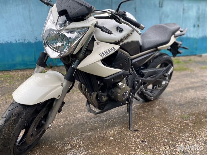 Yamaha XJ6 из Европы