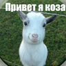 Пользователь