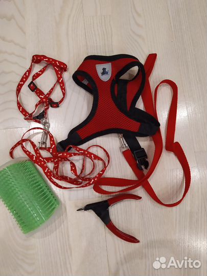 Шлейка для кошки