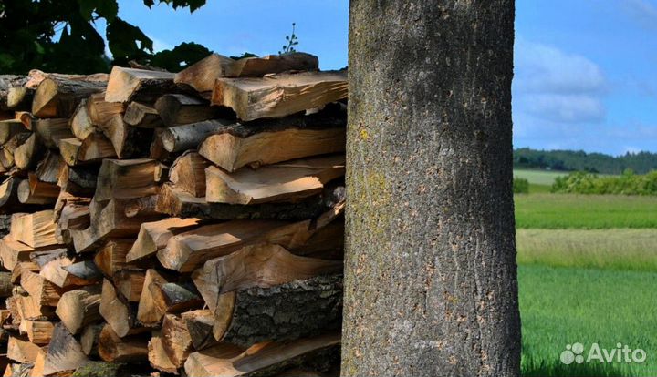 Дрова ольха осина береза