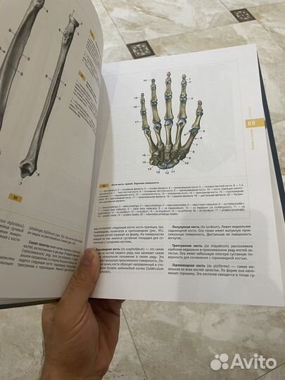 Атлас нормальной анатомии человека