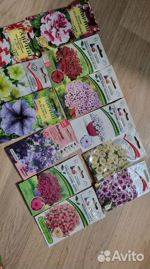 Укоренненные черенки петуний вегетанивных и др