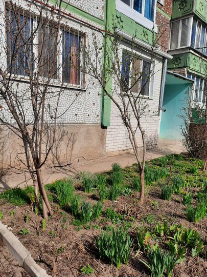 3-к. квартира, 75,7 м², 1/3 эт.