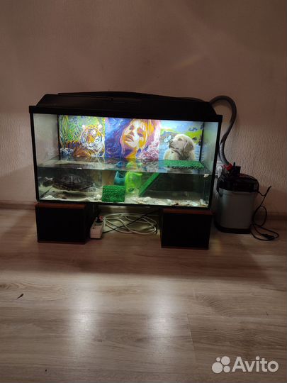 Аквариум 80 л с внешним фильтром и черепахой
