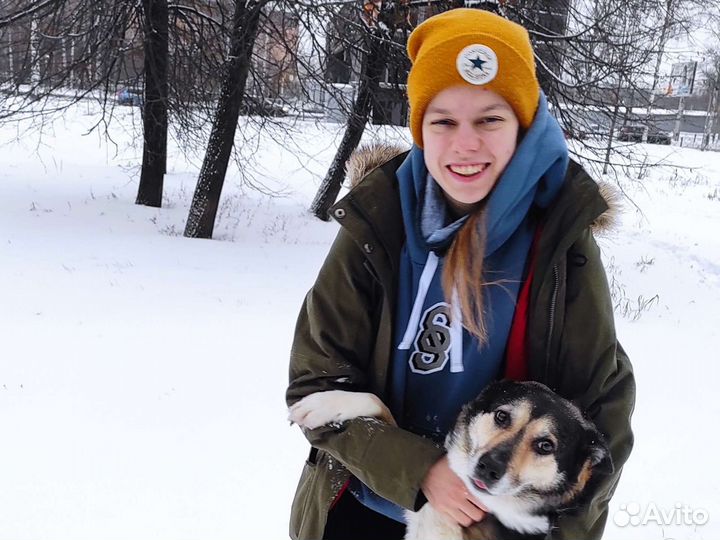 Репетитор по математике и физике