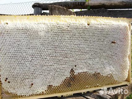 Мед в рамках и банках