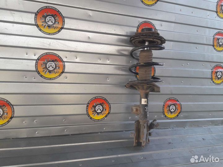 Амортизатор передний правый Infiniti Fx35 S50