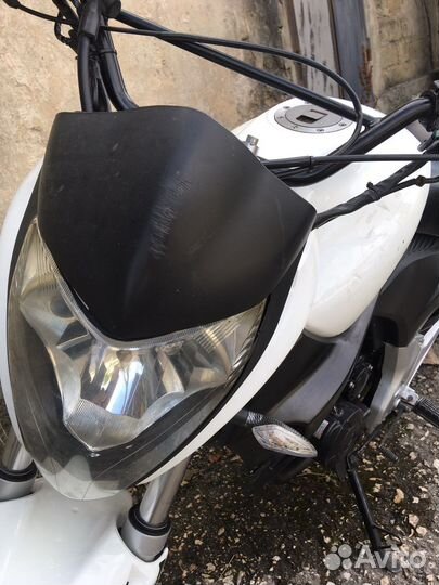 Stels Flex 250