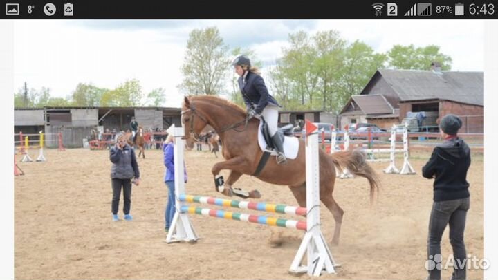 Постой лошадей