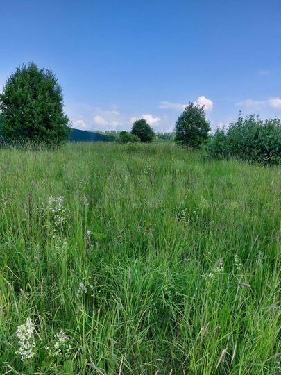 Участок 30 сот. (ИЖС)