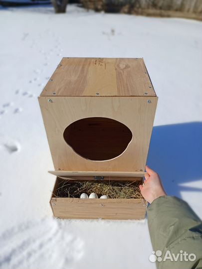 Гнездо для кур с яйцесборником