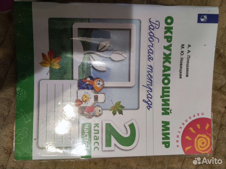 Рабочая тетрадь 2 класс окружающий мир