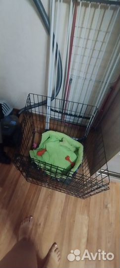 Клетка вольер для собак