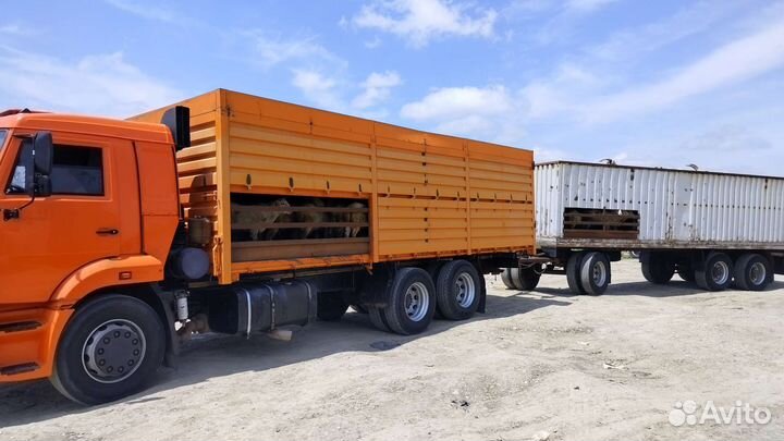 КамАЗ 65115, 2010