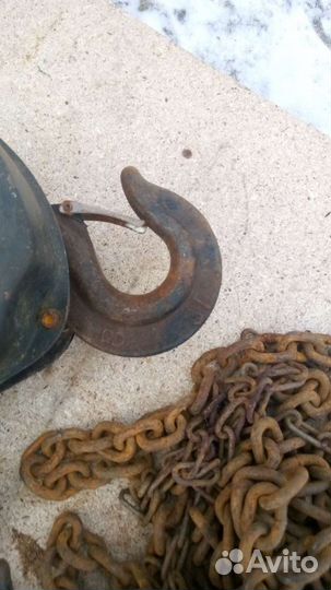 Талька цепная